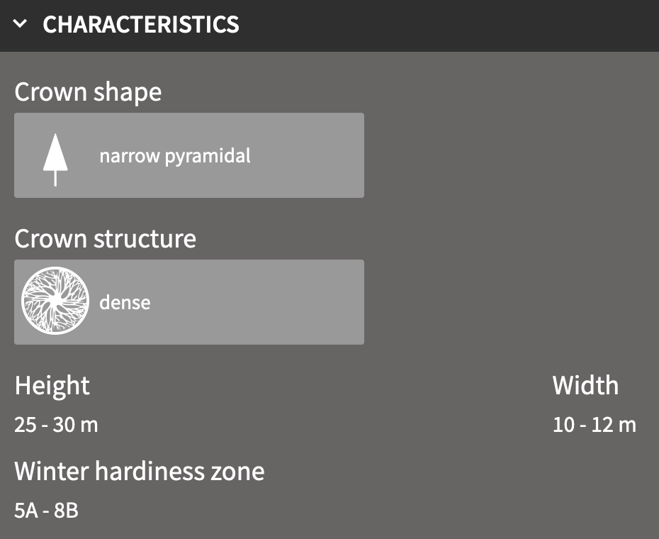 Revit characteristics showing crown shape as narrow pyramid, crown structure as dense, Height as 25-30m, Winter hardiness zone as 5A - 8B