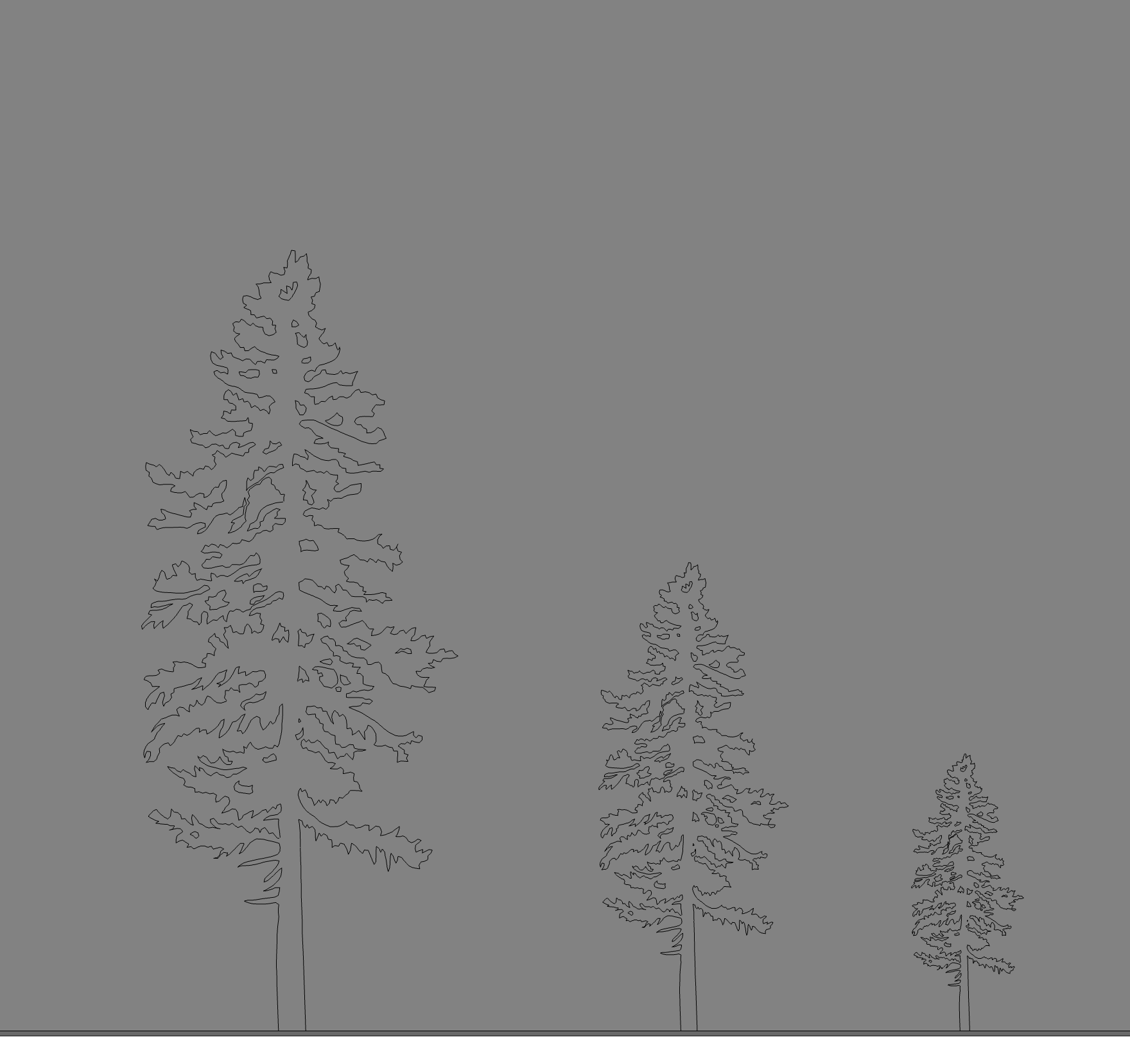 Revit elevation view of the columnar trees, lateral and oblique.